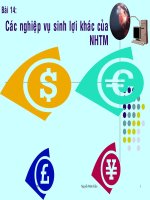 Bài 14: Các nghiệp vụ sinh lợi khác của ngân hàng thương mại pot