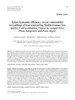 Báo cáo khoa học: 