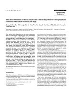 Báo cáo khoa học: 