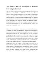 Tăng trưởng và phát triển bền vững sau suy thoái kinh tế: từ một góc nhìn xã hội potx