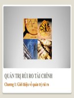 QUẢN TRỊ RỦI RO TÀI CHÍNH - CHƯƠNG 1 pptx