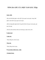 TỔNG BA GÓC CỦA MỘT TAM GIÁC (Tiếp) doc