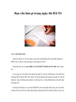 Bạn cần làm gì trong ngày thi IELTS doc
