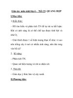 Giáo án môn sinh lớp 6 - Tiết 23: QUANG HỢP ppsx
