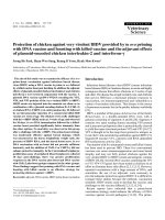 Báo cáo khoa học: 