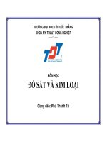 THIẾT KẾ ĐỒ SẮT VÀ KIM LOẠI ppt