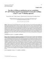 Báo cáo lâm nghiệp: 