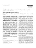 Báo cáo khoa học: 