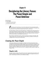 Giáo trình động từ tiếng Pháp - Part III Taking a Look Back: The Past Tenses - Chapter 14 doc