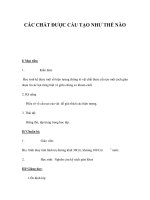 CÁC CHẤT ĐƯỢC CẤU TẠO NHƯ THẾ NÀO potx