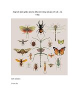 Sáng kiến kinh nghiệm môn tìm hiểu môi trường mẫu giáo 4-5 tuổi – côn trùng pps