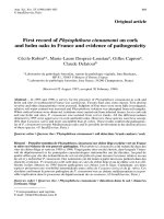 Báo cáo khoa học: 