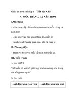 Giáo án môn sinh lớp 6 - Tiết 62: NẤM A- MỐC TRẮNG VÀ NẤM RƠM pot