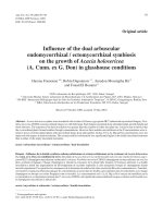 Báo cáo khao học: 