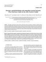 Báo cáo lâm nghiệp: