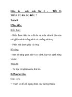 Giáo án môn sinh lớp 6 - Tiết 16 THÂN TO RA DO ĐÂU ? potx