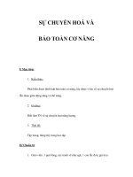 SỰ CHUYỂN HOÁ VÀ BẢO TOÀN CƠ NĂNG ppsx