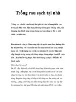 Trồng rau sạch tại nhà docx