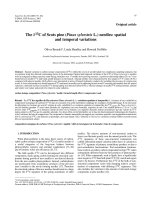 Báo cáo lâm nghiệp: