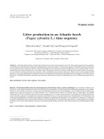 Báo cáo khoa học: 