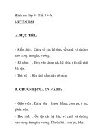 Hình học lớp 9 - Tiết 3 + 4: LUYỆN TẬP pot