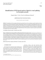 Báo cáo khoa học: 