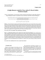 Báo cáo lâm nghiệp: