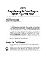 Giáo trình động từ tiếng Pháp - Part III Taking a Look Back: The Past Tenses - Chapter 12 docx