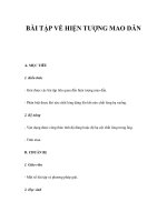 BÀI TẬP VỀ HIỆN TƯỢNG MAO DẪN docx