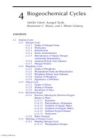 Coastal Lagoons - Chapter 4 docx