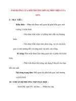 Giáo án Sinh Học lớp 12: ẢNH HƯỞNG CỦA MÔI TRƯỜNG ĐẾN SỰ BIỂU HIỆN CỦA GEN. pot