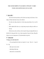 THỰC HÀNH NGHIÊN CỨU DAO ĐỘNG CƯỠNG BỨC VÀ HIỆN TƯỢNG CỘNG HƯỞNG BẰNG CON LẮC ĐƠN pps