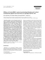 Báo cáo khoa học: 