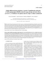 Báo cáo lâm nghiệp: 