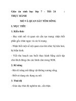 Giáo án sinh học lớp 7 - Tiết 24 THỰC HÀNH MỔ VÀ QUAN SÁT TÔM SÔNG pps