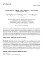 Báo cáo khoa học: 