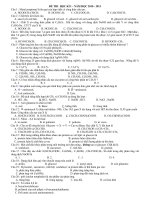 Đề ôn tập môn hóa học - đề 6 ppsx