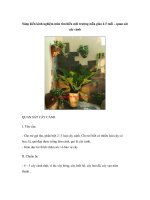 Sáng kiến kinh nghiệm môn tìm hiểu môi trường mẫu giáo 4-5 tuổi – quan sát cây cảnh pdf