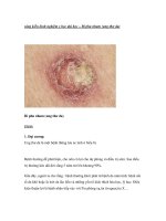 sáng kiến kinh nghiệm y học đại học – Bì phu nham (ung thư da) doc