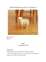 Sáng kiến kinh nghiệm môn kể truyện lớp 2 – con chó hàng xóm ppt