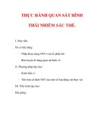 Giáo án Sinh học lớp 9 : Tên bài dạy : THỰC HÀNH QUAN SÁT HÌNH THÁI NHIỄM SẮC THỂ. ppt