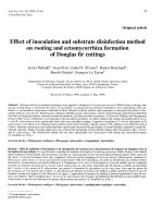 Báo cáo khoa học: 