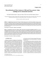 Báo cáo lâm nghiệp: