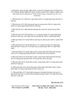 Mẫu biên bản số 01: Biên bản vi phạm hành chính về sử dụng năng lượng tiết kiệm và hiệu quả pptx