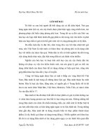 Đậu nành và những ứng dụng của chúng trong lĩnh vực y khoa trị liệu