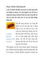 Dùng vi khuẩn chống động đất pdf