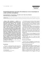 Báo cáo khoa học: 