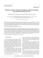 Báo cáo lâm nghiệp: 