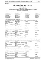 ĐỀ THI THỬ ĐẠI HỌC LẦN VIII Môn Tiếng Anh ppsx