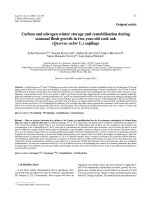 Báo cáo lâm nghiệp: 